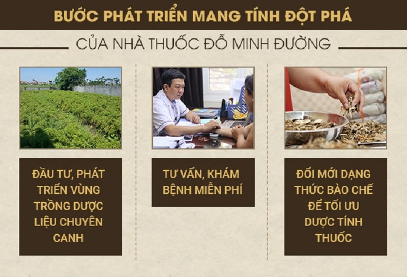 Ra mắt chuyên trang lương y Đỗ Minh Tuấn - Blog sức khỏe cộng đồng hàng đầu Việt Nam