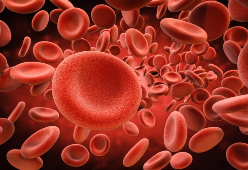 Hội chứng tăng Ure máu là tình trạng giảm tiểu cầu, tan máu và tổn thương thận cấp tính