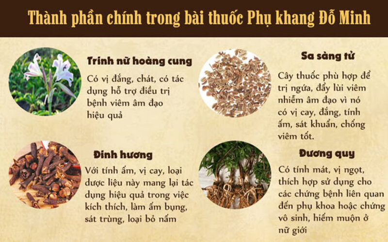 Thành phần thảo dược thuần Việt có mặt trong bài thuốc Phụ Khang Đỗ Minh