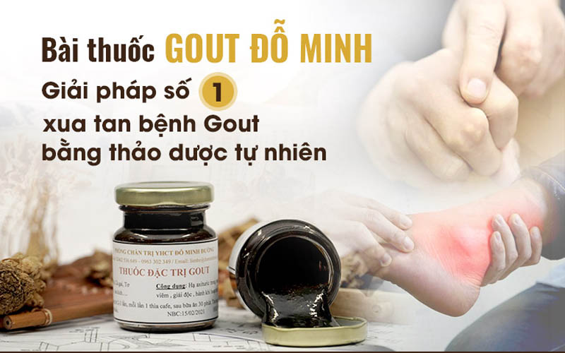 Bài thuốc của Nhà thuốc Đỗ Minh Đường chữa Gout hiệu quả