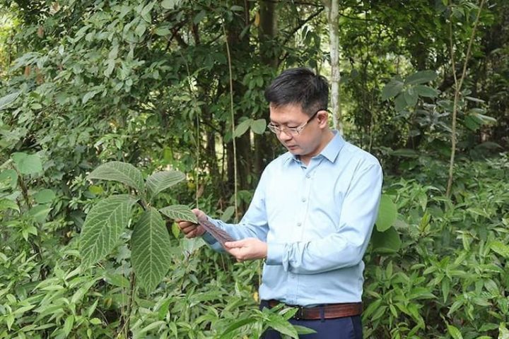 Lương y Đỗ Minh Tuấn lên rừng tìm cây thuốc quý