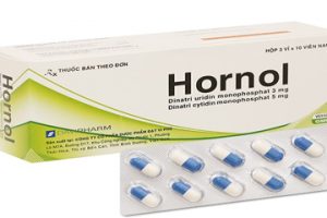 Thuốc Hornol: Thành Phần, Công Dụng, Cách Dùng, Giá Bán