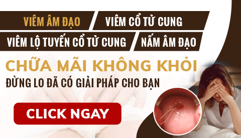 Nhà thuốc Đỗ Minh Đường tham gia chương trình “Vì sức khỏe của bạn: Bệnh phụ khoa” đài truyền hình Hà Nội