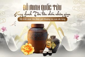 do-minh-quoc-tuu-anh-bia-1-1