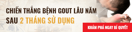 Banner-gout-do-minh-duong-2