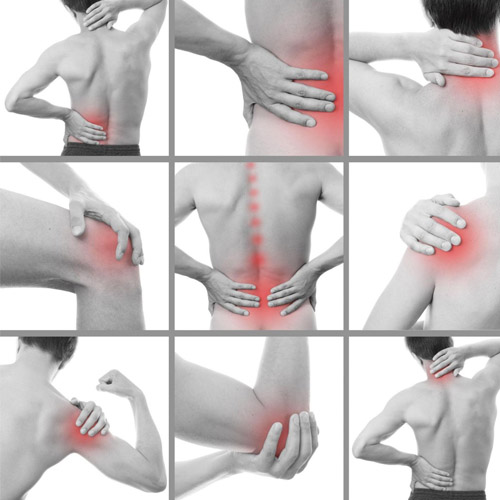 Đau Nhức Xương Khớp: Dấu Hiệu, Cách Chữa Trị, Ngăn Ngừa