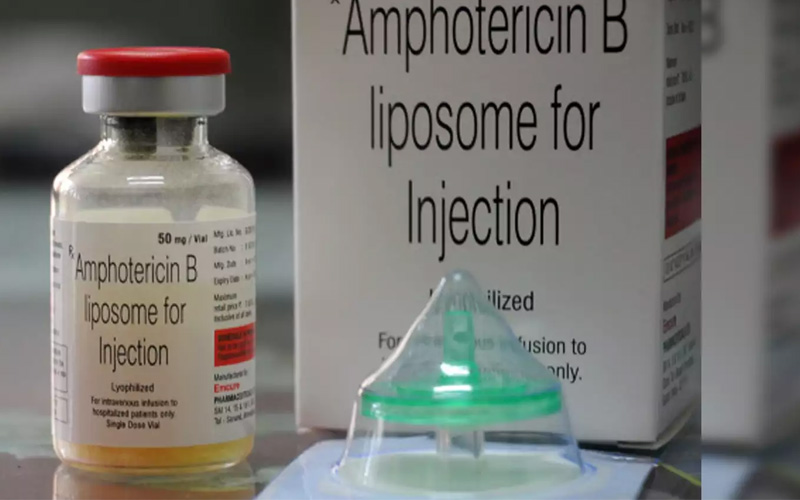 Amphotericin B kháng nấm, trị viêm xoang mũi