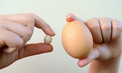 Teo Tinh Hoàn Do Đâu? Dấu Hiệu, Cách Điều Trị Hiệu Quả