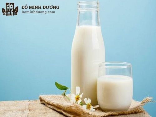 Bệnh gout uống sữa gì tốt cho sức khỏe